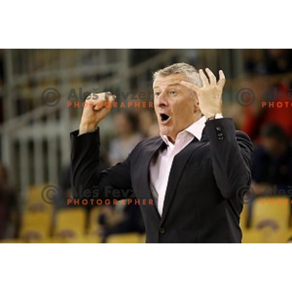 Damjan Novakovic, head coach of Rogaska in action during Nova KBM league basketball match between Ilirija and Rogaska in Tivoli Hall, Ljubljana, Slovenia on October 14, 2017