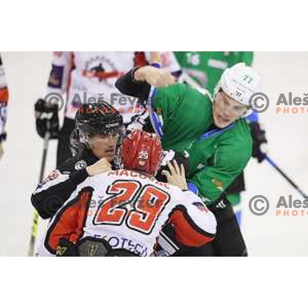 Uros batic of SZ Olimpija and Kristijan Magovac of SIJ Acroni jesenice in action during Alps League ice-hockey match between SZ Olimpija and SIJ Acroni Jesenice in Tivoli Hall, Ljubljana, Slovenia on October 25, 2017