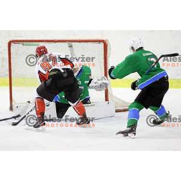  action during Alps League ice-hockey match between SZ Olimpija and SIJ Acroni Jesenice in Tivoli Hall, Ljubljana, Slovenia on October 25, 2017