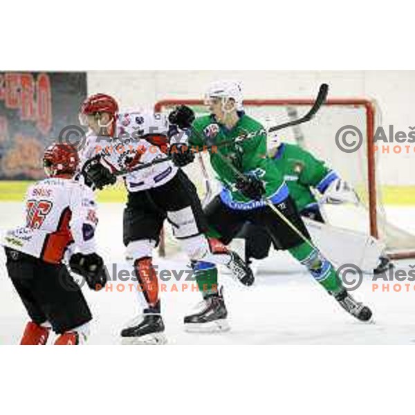  action during Alps League ice-hockey match between SZ Olimpija and SIJ Acroni Jesenice in Tivoli Hall, Ljubljana, Slovenia on October 25, 2017