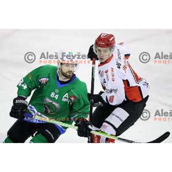 Andrej Hebar in action during Alps League ice-hockey match between SZ Olimpija and SIJ Acroni Jesenice in Tivoli Hall, Ljubljana, Slovenia on October 25, 2017
