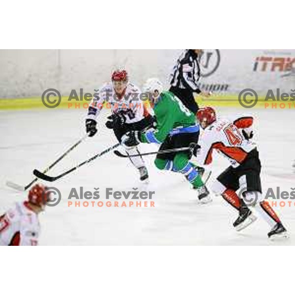 action during Alps League ice-hockey match between SZ Olimpija and SIJ Acroni Jesenice in Tivoli Hall, Ljubljana, Slovenia on October 25, 2017