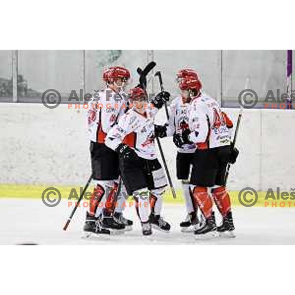  action during Alps League ice-hockey match between SZ Olimpija and SIJ Acroni Jesenice in Tivoli Hall, Ljubljana, Slovenia on October 25, 2017