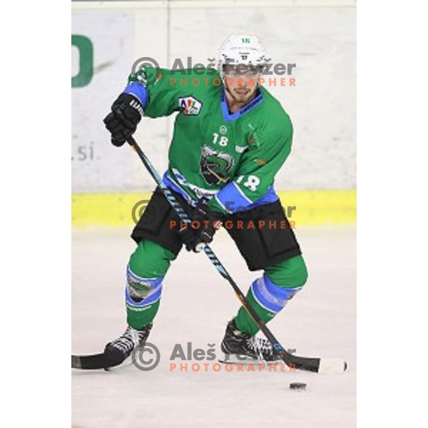 Miha Pesjak in action during Alps League ice-hockey match between SZ Olimpija and SIJ Acroni Jesenice in Tivoli Hall, Ljubljana, Slovenia on October 25, 2017