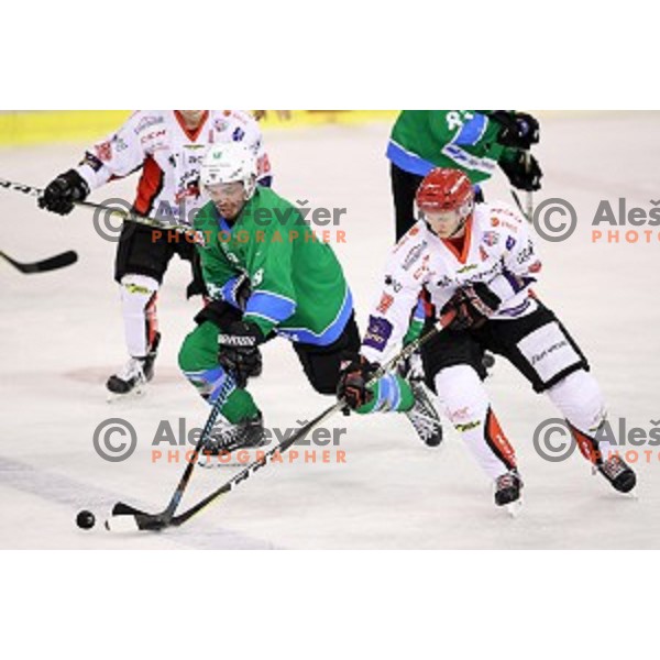 Miha Zajc in action during Alps League ice-hockey match between SZ Olimpija and SIJ Acroni Jesenice in Tivoli Hall, Ljubljana, Slovenia on October 25, 2017