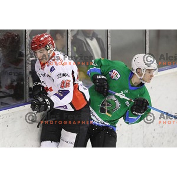 action during Alps League ice-hockey match between SZ Olimpija and SIJ Acroni Jesenice in Tivoli Hall, Ljubljana, Slovenia on October 25, 2017