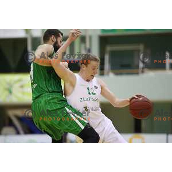 Miha Lapornik of Zlatorog Lasko in action during Nova KBM league basketball match between Zlatorog Lasko and Petrol Olimpija in Tri Lilije Hall, Lasko, Slovenia on October 27, 2017