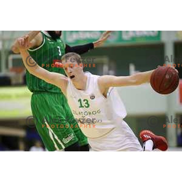 Miha Lapornik of Zlatorog Lasko in action during Nova KBM league basketball match between Zlatorog Lasko and Petrol Olimpija in Tri Lilije Hall, Lasko, Slovenia on October 27, 2017