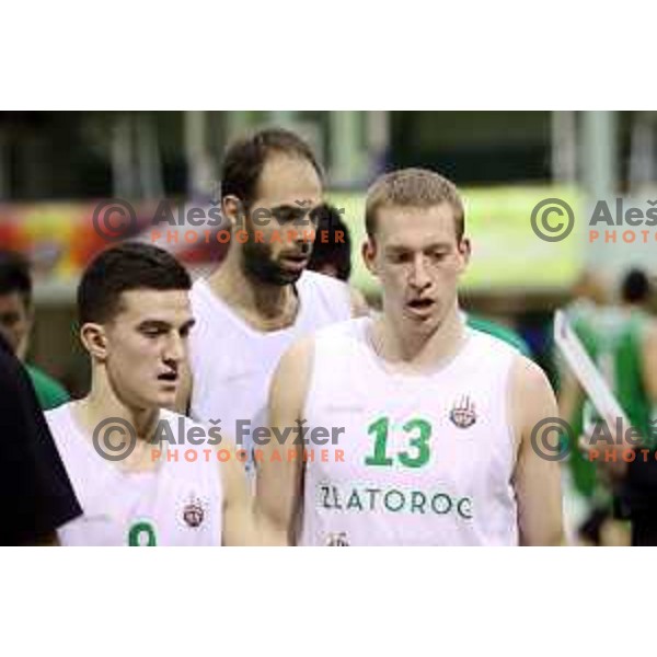 Miha Lapornik of Zlatorog Lasko in action during Nova KBM league basketball match between Zlatorog Lasko and Petrol Olimpija in Tri Lilije Hall, Lasko, Slovenia on October 27, 2017