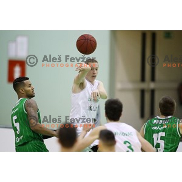 Miha Lapornik of Zlatorog Lasko in action during Nova KBM league basketball match between Zlatorog Lasko and Petrol Olimpija in Tri Lilije Hall, Lasko, Slovenia on October 27, 2017