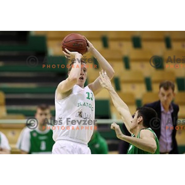 Miha Lapornik of Zlatorog Lasko in action during Nova KBM league basketball match between Zlatorog Lasko and Petrol Olimpija in Tri Lilije Hall, Lasko, Slovenia on October 27, 2017