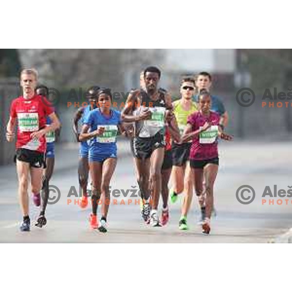 Ljubljana Marathon on October 29, 2017