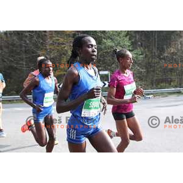 Ljubljana Marathon on October 29, 2017