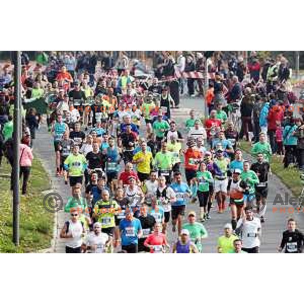 Ljubljana Marathon on October 29, 2017