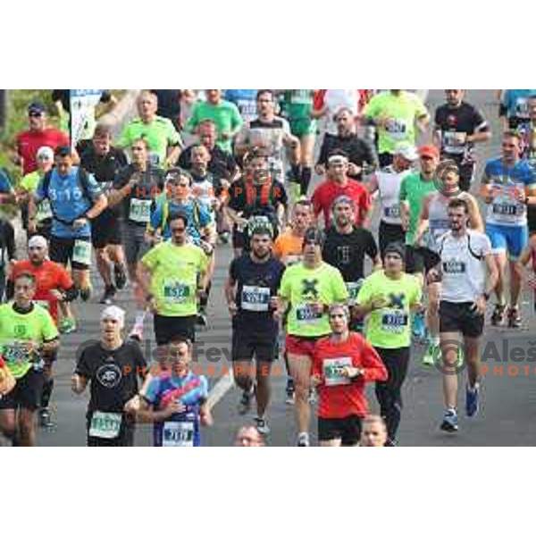 Ljubljana Marathon on October 29, 2017