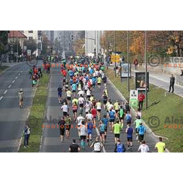 Ljubljana Marathon on October 29, 2017