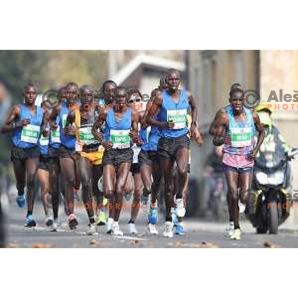 Ljubljana Marathon on October 29, 2017