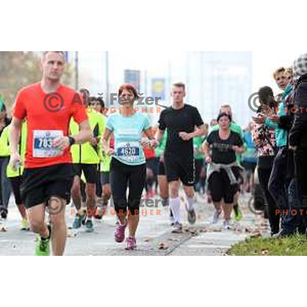 Ljubljana Marathon on October 29, 2017