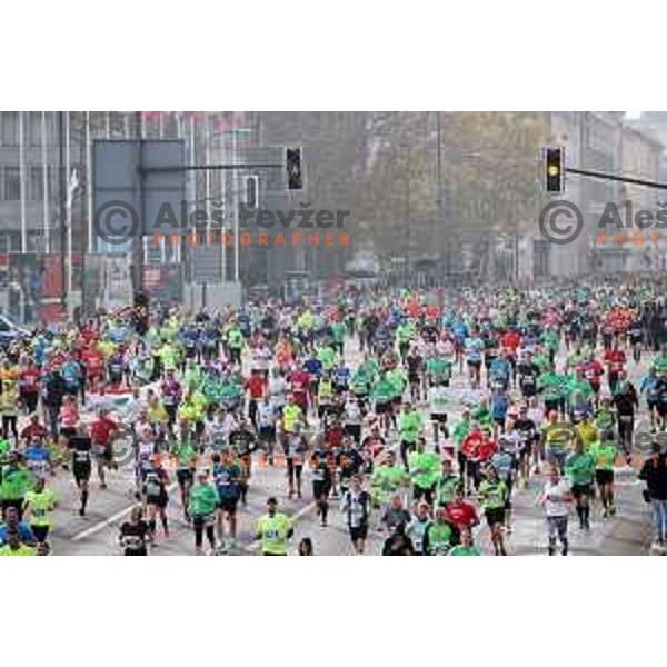 Ljubljana Marathon on October 29, 2017