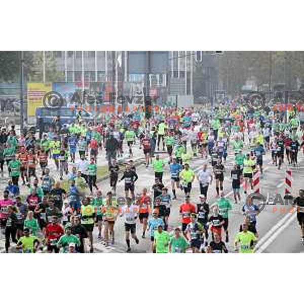 Ljubljana Marathon on October 29, 2017