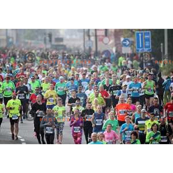 Ljubljana Marathon on October 29, 2017