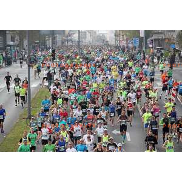 Ljubljana Marathon on October 29, 2017