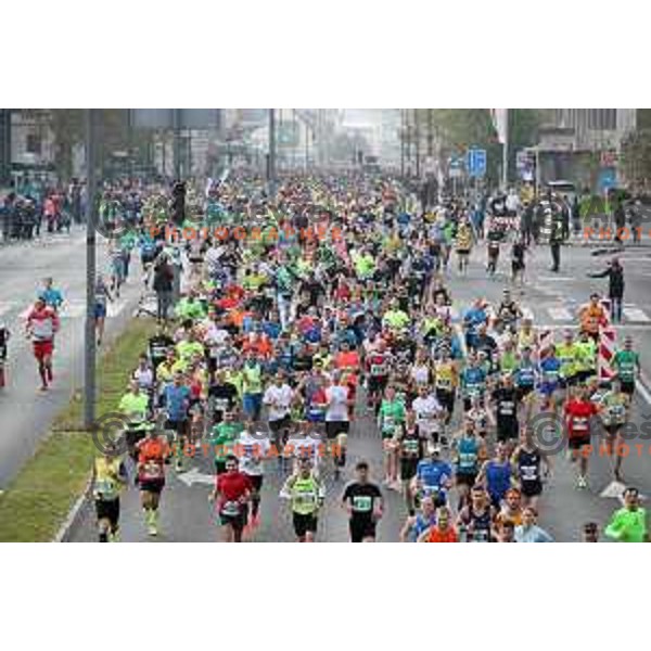 Ljubljana Marathon on October 29, 2017