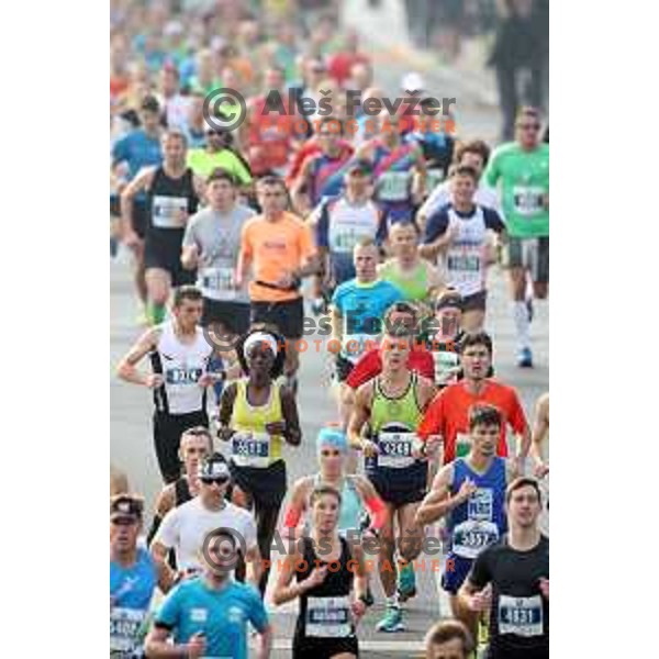 Ljubljana Marathon on October 29, 2017