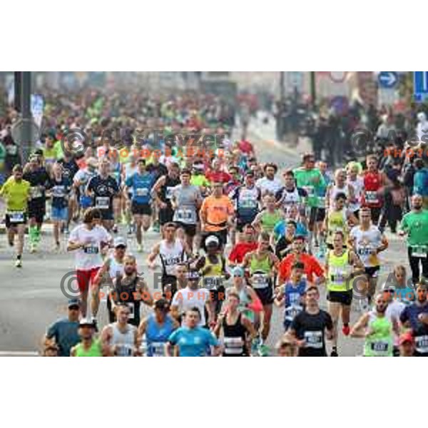 Ljubljana Marathon on October 29, 2017