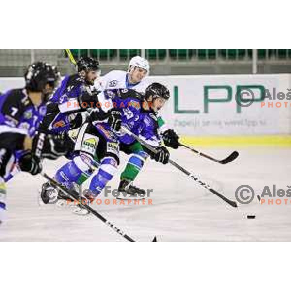  action during Alps League ice-hockey match between Olimpija and WSV in Tivoli Hall, Ljubljana, Slovenia on November 1, 2017