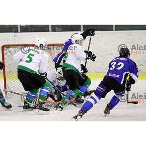 of Olimpija in action during Alps League ice-hockey match between Olimpija and WSV in Tivoli Hall, Ljubljana, Slovenia on November 1, 2017