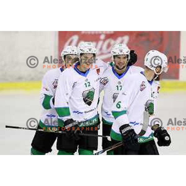 Petek and Janez Orehek of Olimpija in action during Alps League ice-hockey match between Olimpija and WSV in Tivoli Hall, Ljubljana, Slovenia on November 1, 2017