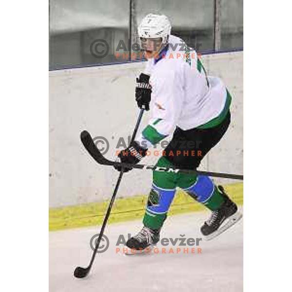 Luka Zorko of Olimpija in action during Alps League ice-hockey match between Olimpija and WSV in Tivoli Hall, Ljubljana, Slovenia on November 1, 2017