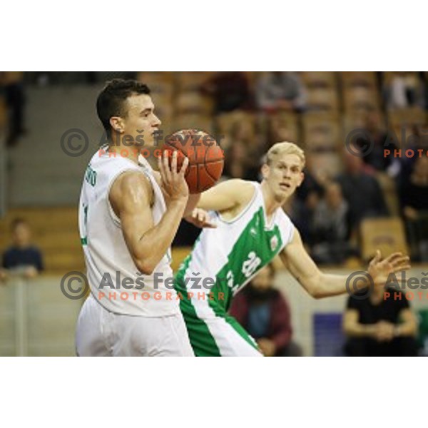 action during Nova KBM league basketball match between Ilirija and Krka in Tivoli Hall, Ljubljana, Slovenia on November 4, 2017