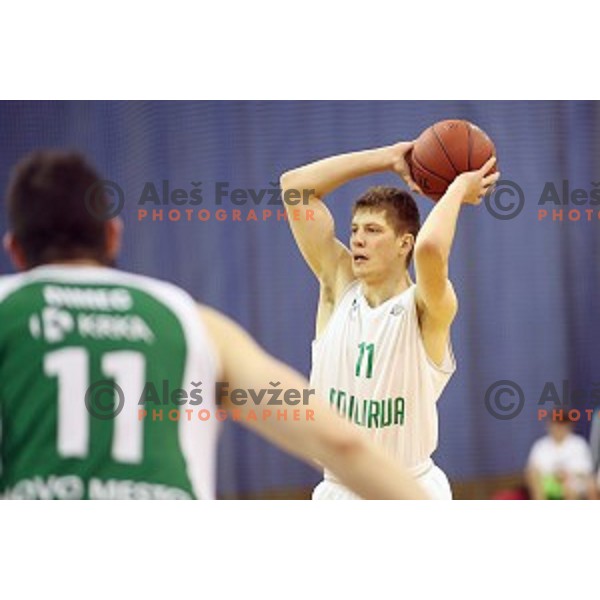 action during Nova KBM league basketball match between Ilirija and Krka in Tivoli Hall, Ljubljana, Slovenia on November 4, 2017