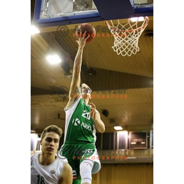action during Nova KBM league basketball match between Ilirija and Krka in Tivoli Hall, Ljubljana, Slovenia on November 4, 2017