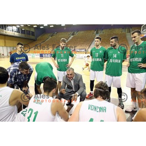 action during Nova KBM league basketball match between Ilirija and Krka in Tivoli Hall, Ljubljana, Slovenia on November 4, 2017