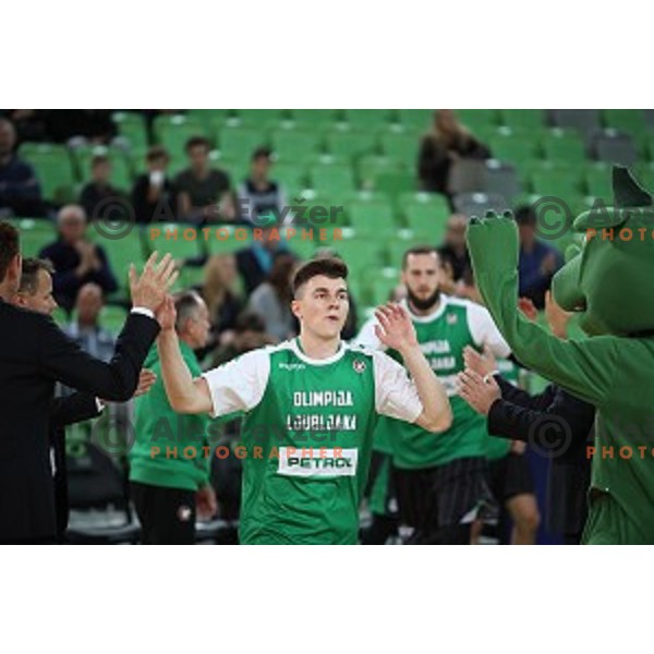 of Petrol Olimpija in action during FIBA Champions League basketball match between Petrol Olimpija and Umana Reyer Venezia in Stozice Hall, Ljubljana on November 7, 2017