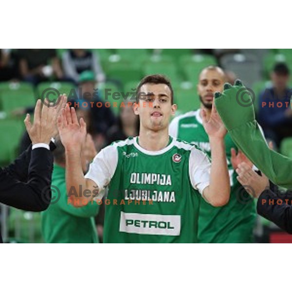 of Petrol Olimpija in action during FIBA Champions League basketball match between Petrol Olimpija and Umana Reyer Venezia in Stozice Hall, Ljubljana on November 7, 2017