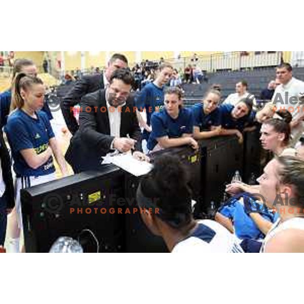 Damir Grgic in action during FIBA Women\'s EuroBasket 2019 Qualifiers match between Slovenia and Finland in Celje, Slovenia on November 15, 2017