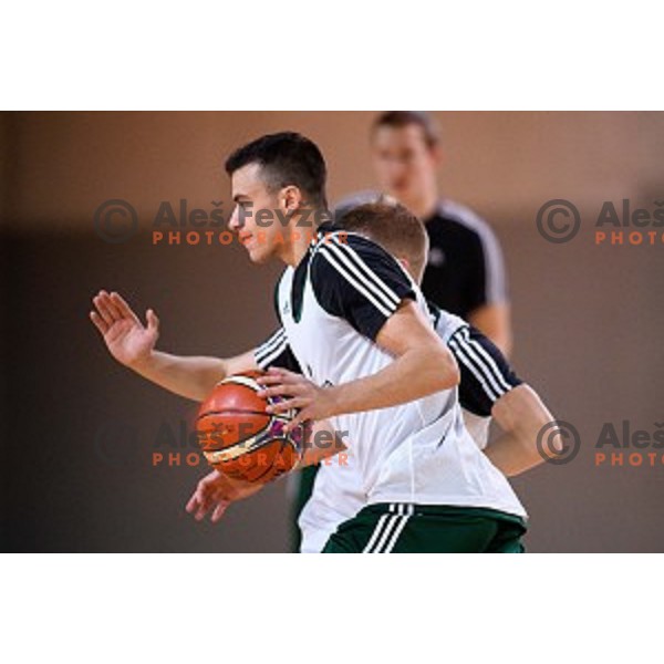 Zan Mark Sisko in action during training of the Slovenian national basketball team in Arena Stozice, Ljubljana, Slovenia on November 20, 2017