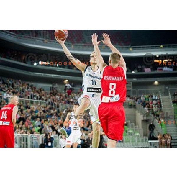 Jaka Blazic in action during FIBA Basketball World Cup 2019 European qualifiers basketball match between Slovenia and Belarus, Stozice Arena, Ljubljana, Slovenia on November 24, 2017