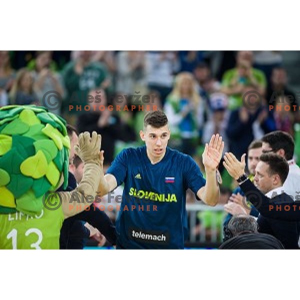 Vlatko Cancar in action during FIBA Basketball World Cup 2019 European qualifiers basketball match between Slovenia and Belarus, Stozice Arena, Ljubljana, Slovenia on November 24, 2017