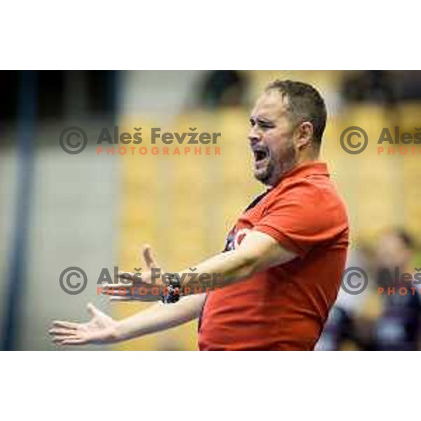 Branko Tamse, head coach of Celje during EHF Champions League 2017/18 handball match between Celje PL and Flensburg, played in Arena Zlatorog, Celje, Slovenia on November 26, 2017