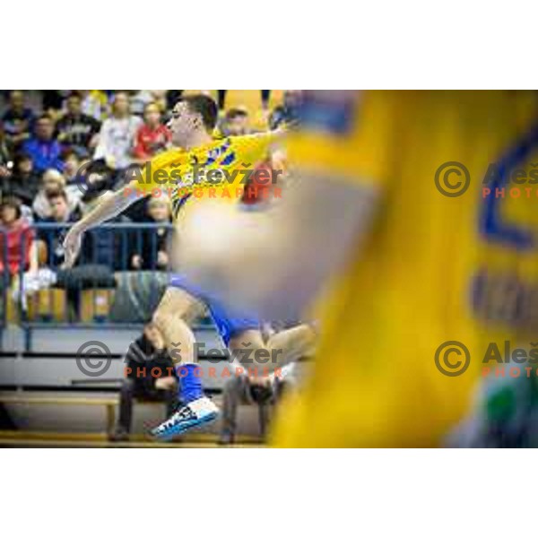 Jan Jurecic of Celje in action during EHF Champions League 2017/18 handball match between Celje PL and Flensburg, played in Arena Zlatorog, Celje, Slovenia on November 26, 2017