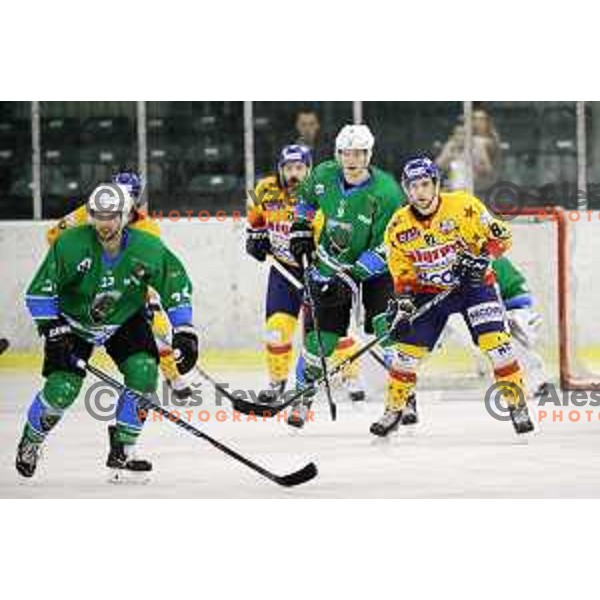 Kristjan Cepon of Olimpija in action during Alps League ice-hockey match between Olimpija and Asiago in Tivoli Hall, Ljubljana, Slovenia on November 29, 2017