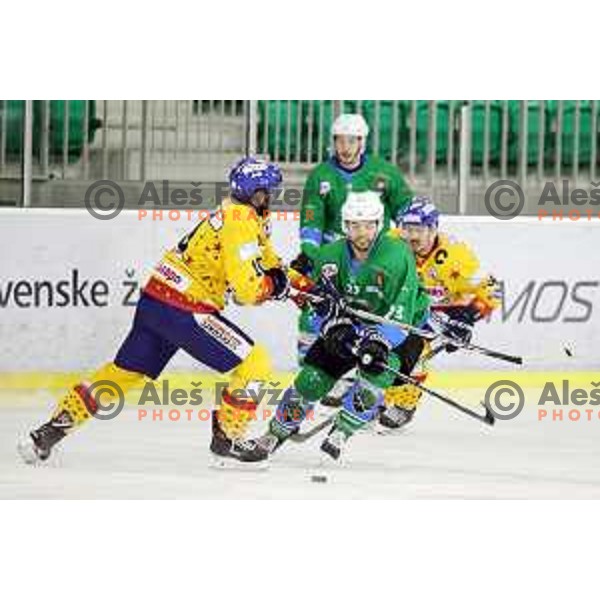 Crt Snoj of SZ Olimpija in action during Alps League ice-hockey match between SZ Olimpija and Asiago in Tivoli Hall, Ljubljana, Slovenia on November 29, 2017