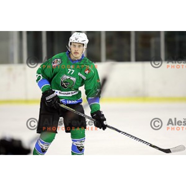 Uros Batic of SZ Olimpija in action during Alps League ice-hockey match between SZ Olimpija and Asiago in Tivoli Hall, Ljubljana, Slovenia on November 29, 2017