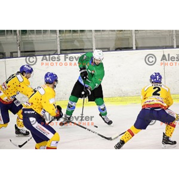 Gal Koren of SZ Olimpija in action during Alps League ice-hockey match between SZ Olimpija and Asiago in Tivoli Hall, Ljubljana, Slovenia on November 29, 2017