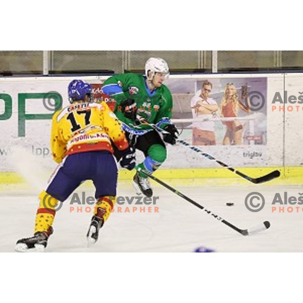 Miha Zajc of SZ Olimpija in action during Alps League ice-hockey match between SZ Olimpija and Asiago in Tivoli Hall, Ljubljana, Slovenia on November 29, 2017
